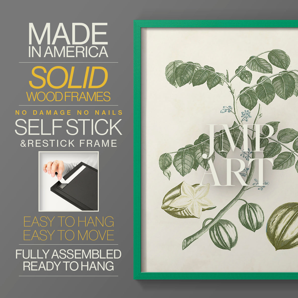 Buchoz Tropicals II - Restickable Framed Art Print