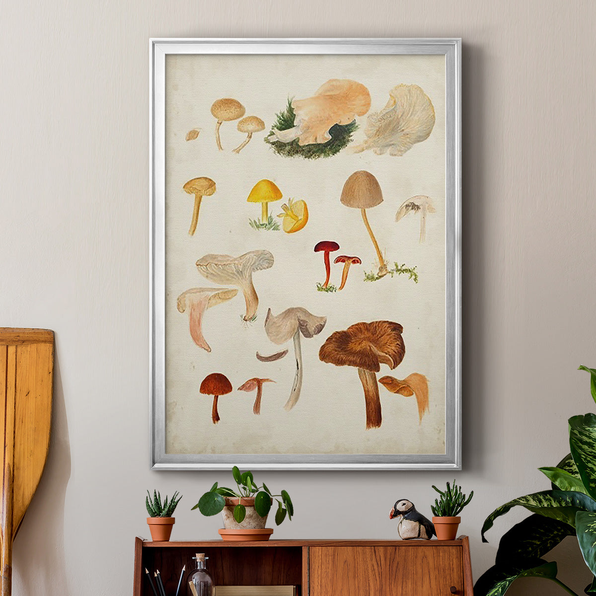 Mushroom Species XII - Modern Framed Canvas Print