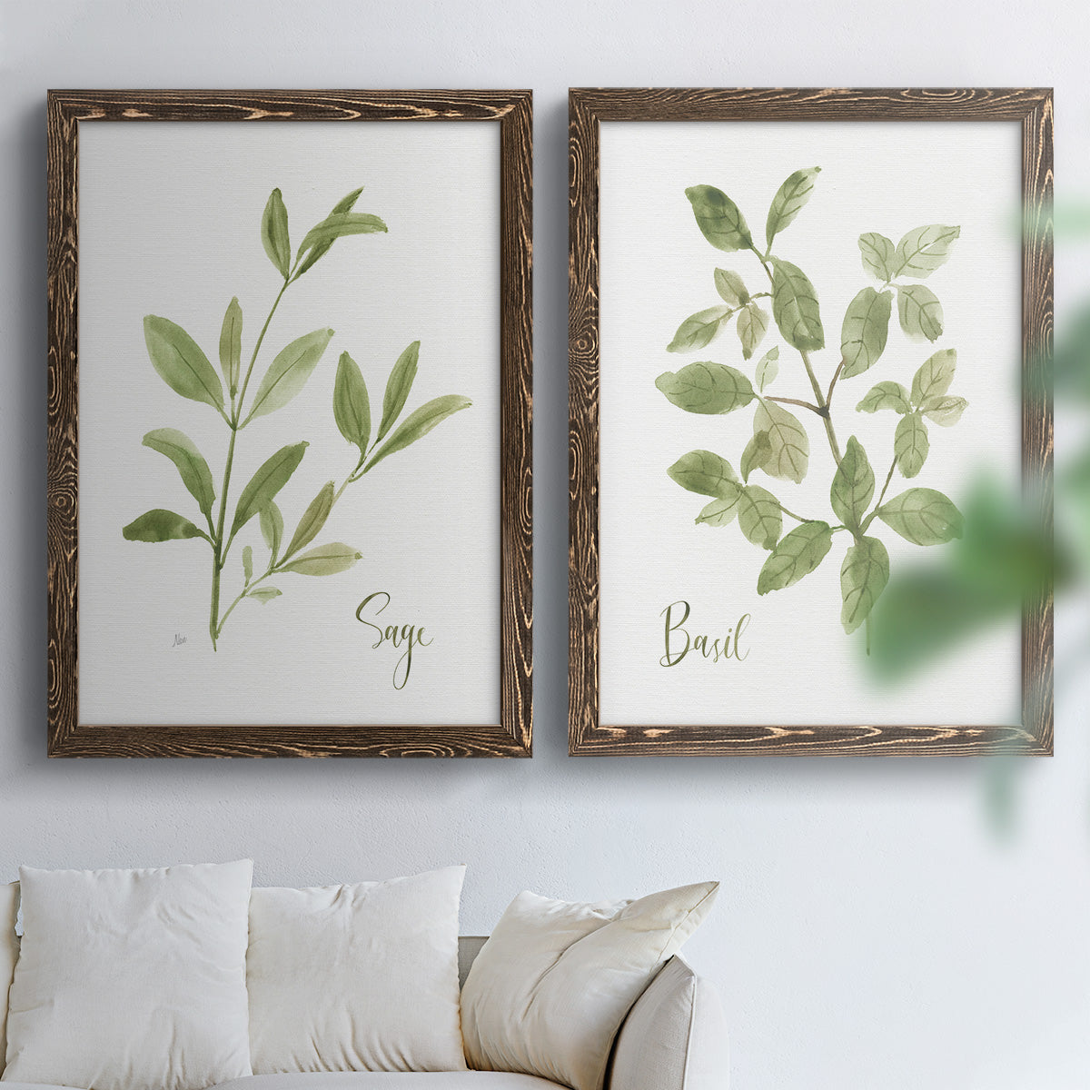 Herb Sage - Premium Framed Canvas 2 Piece Set - Ready to Hang