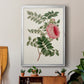 Pink Floral Mix I - Modern Framed Canvas Print