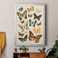 Collected Flutter I - Modern Framed Canvas Print