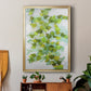 Ivy - Modern Framed Canvas Print