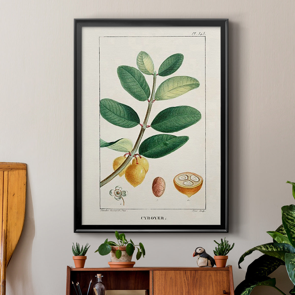 Turpin Tropical Botanicals V - Modern Framed Canvas Print