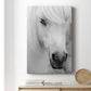 Island Pony I - Canvas Art Print