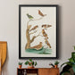 Antique Birds in Nature III - Modern Framed Canvas Print