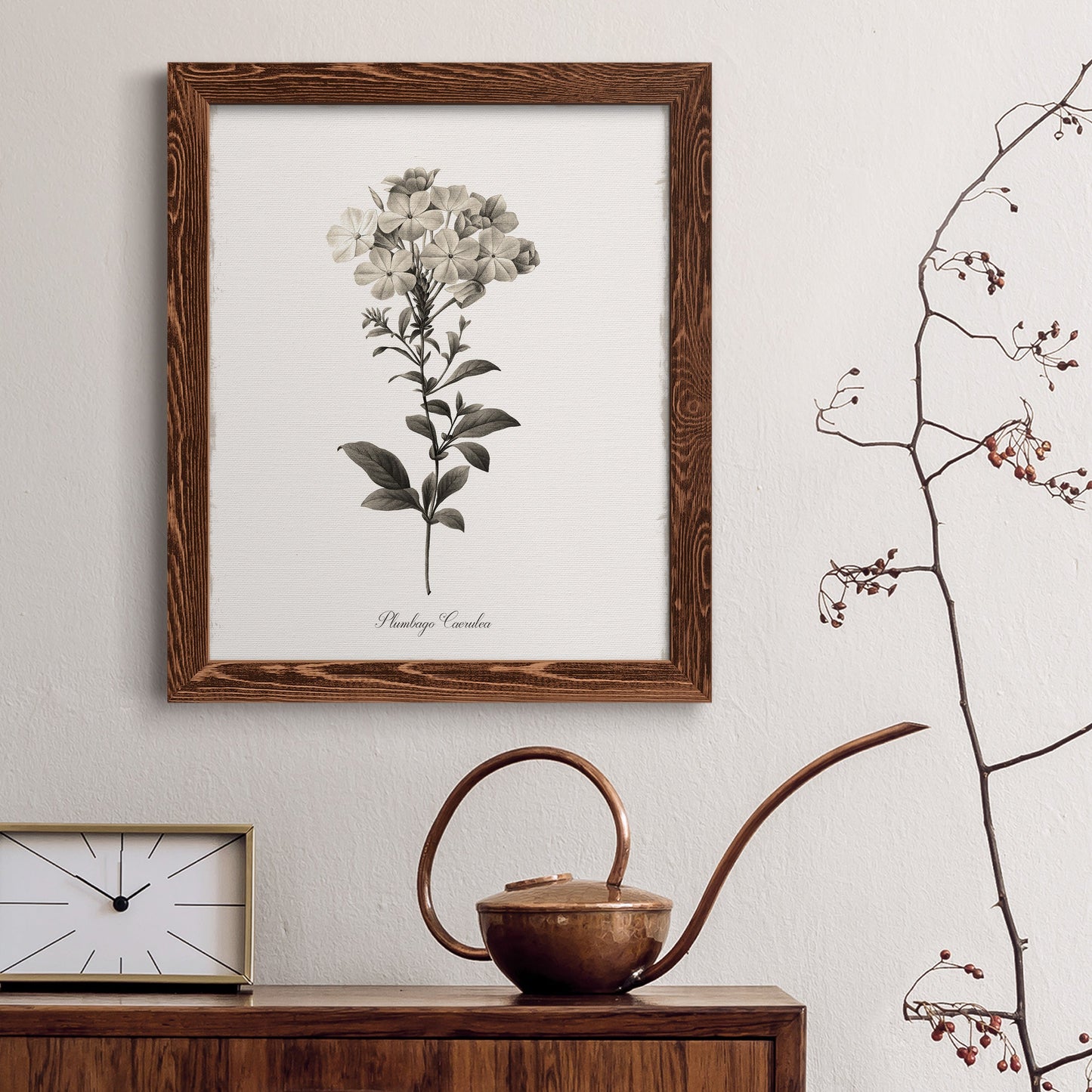 Sketchbook Leadwort - Barnwood Framed Canvas Print