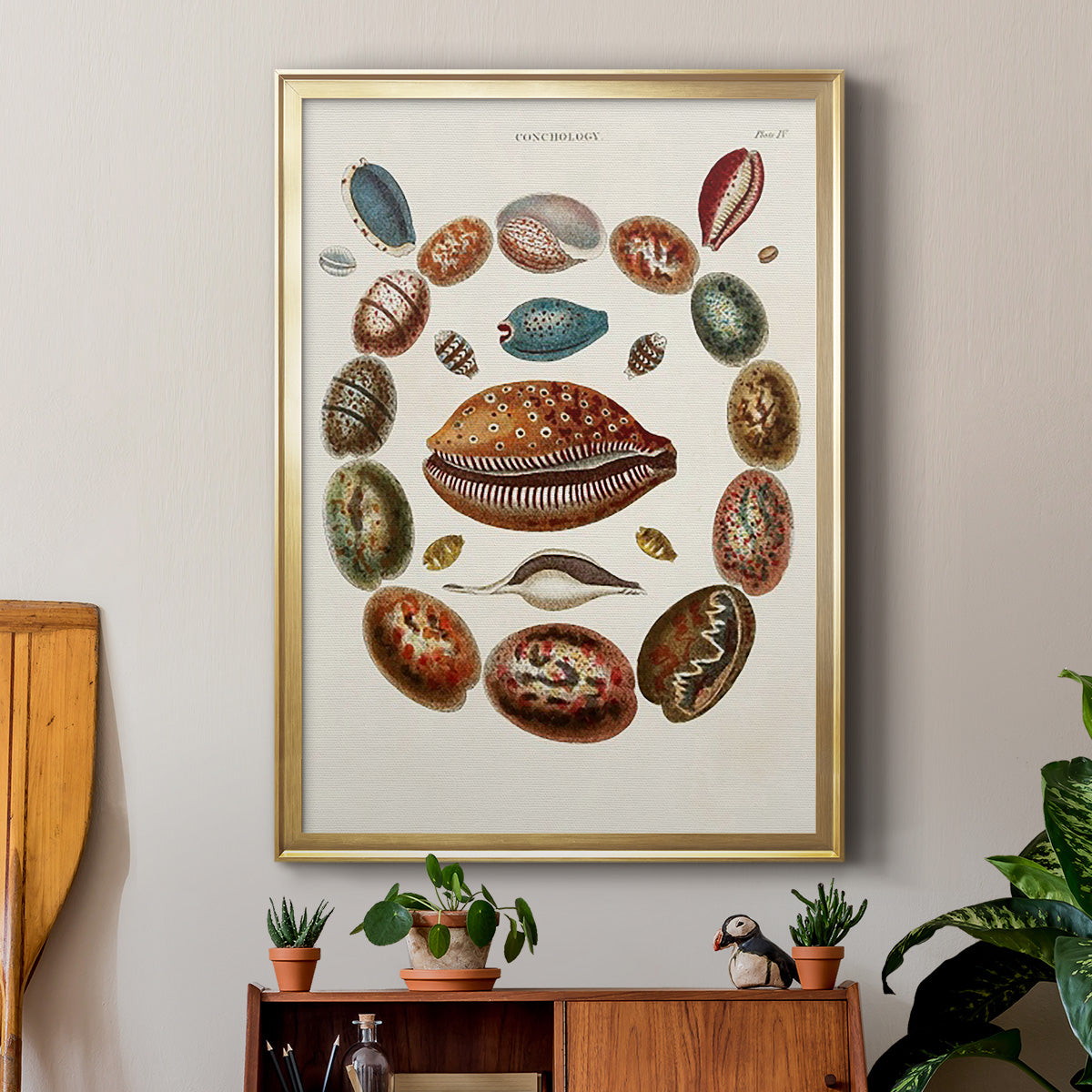 Spiral Shell Formation II - Modern Framed Canvas Print