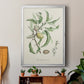 Antique Almond Botanical IV - Modern Framed Canvas Print