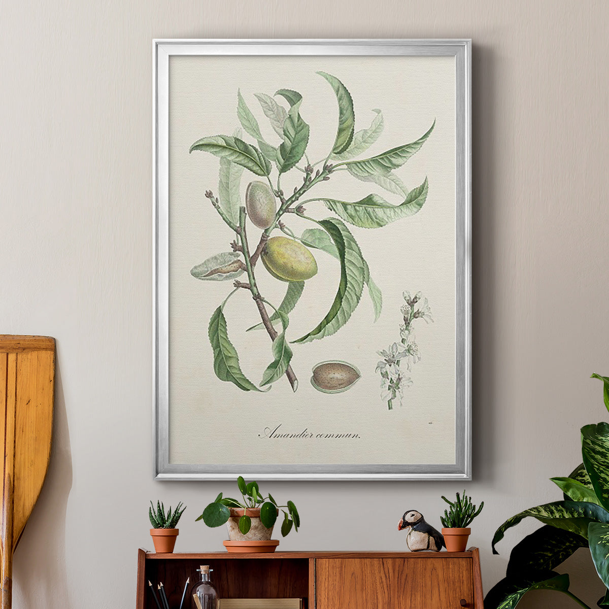 Antique Almond Botanical IV - Modern Framed Canvas Print