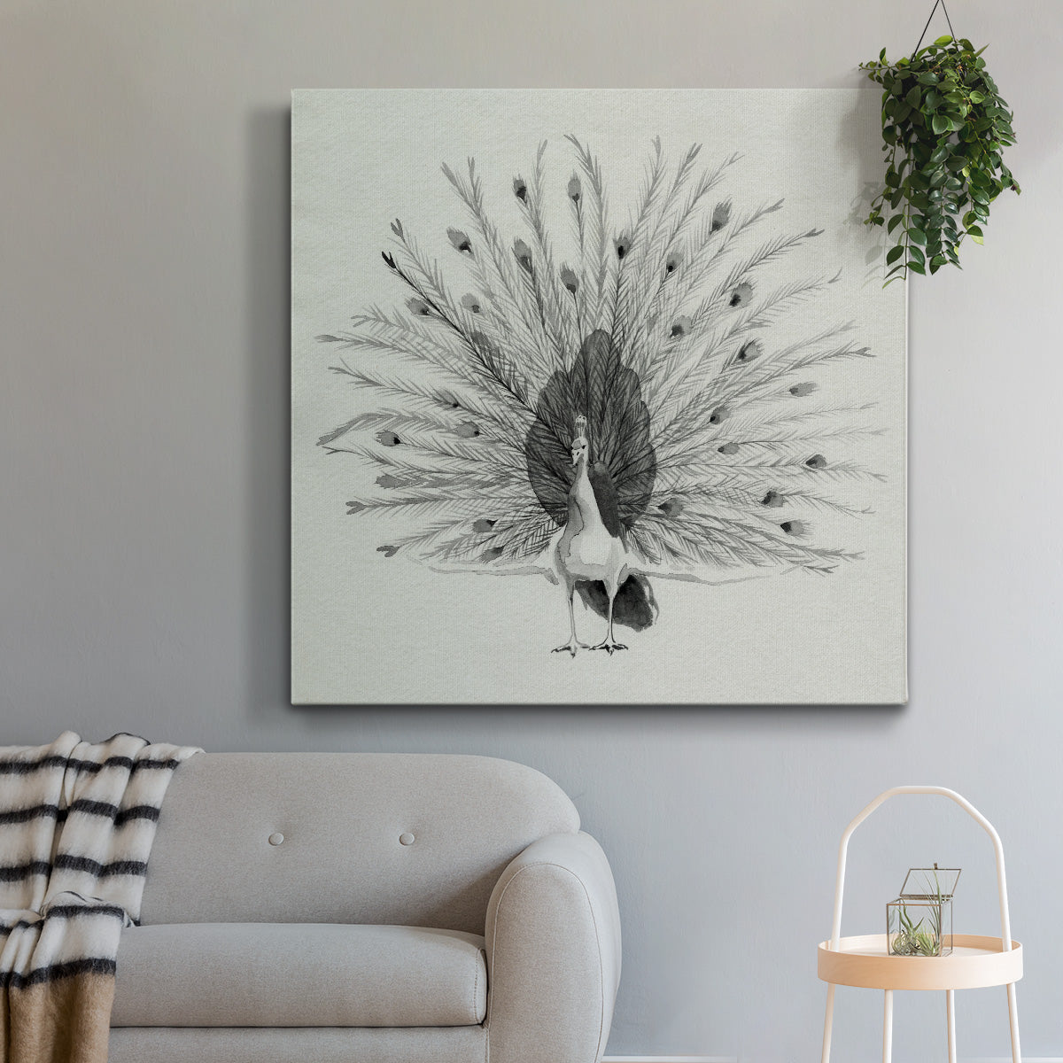 Ebony Plumed Peacock II - Canvas Art Print