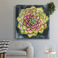 Succulent Rosette III - Canvas Art Print