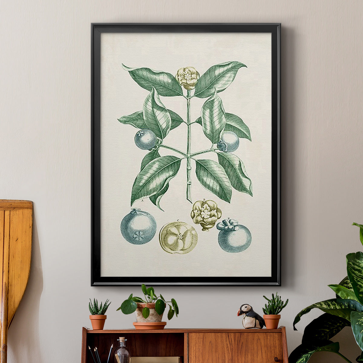 Buchoz Tropicals VII - Modern Framed Canvas Print