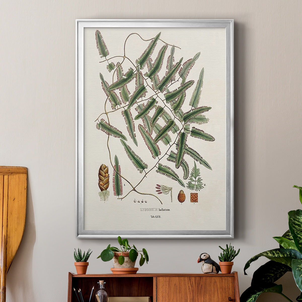 Botanical Society Ferns X - Modern Framed Canvas Print