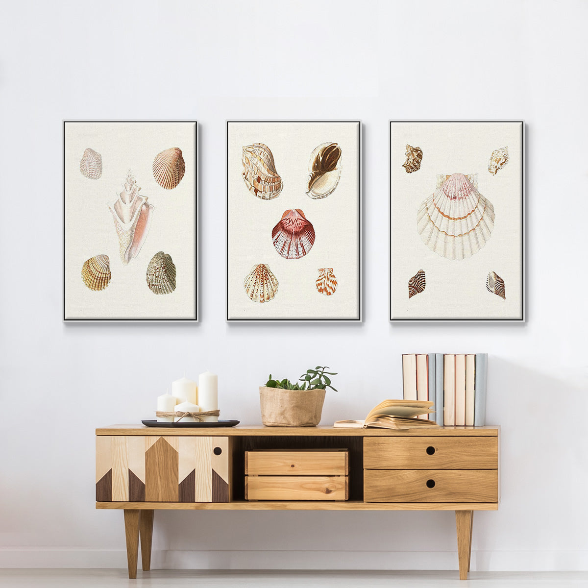 Pastel Knorr Shells IV - Framed Premium Gallery Wrapped Canvas L Frame 3 Piece Set - Ready to Hang