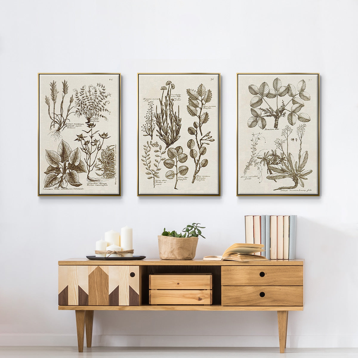 Sepia Botanical Journal VI - Framed Premium Gallery Wrapped Canvas L Frame 3 Piece Set - Ready to Hang