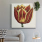 Tulip Garden IV - Canvas Art Print