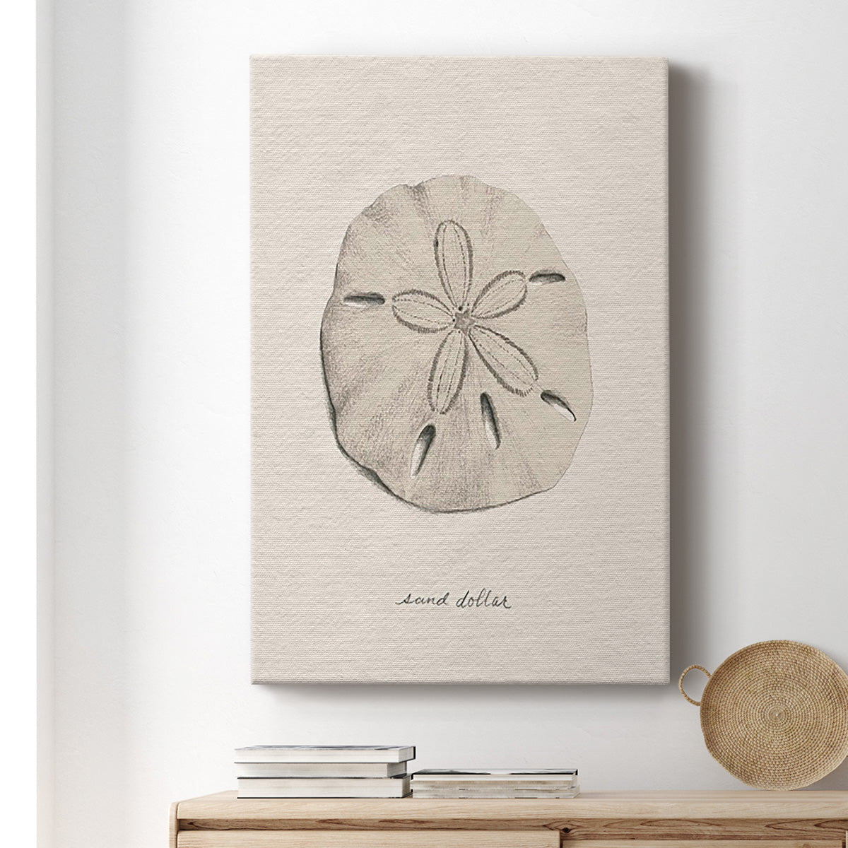 Shore Treasure Study III - Canvas Art Print