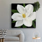 Midnight Magnolia II - Canvas Art Print