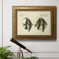 Bloch Antique Fish I Premium Framed Canvas- Ready to Hang