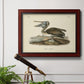 Audubons Brown Pelican - Ornate Framed Canvas Print