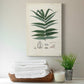 Collected Ferns IX Premium Gallery Wrapped Canvas - Ready to Hang