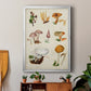 Mushroom Species VI - Modern Framed Canvas Print