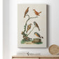 Antique Birds in Nature IV Premium Gallery Wrapped Canvas - Ready to Hang