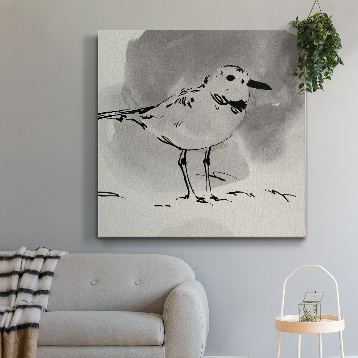 Inky Plover III - Canvas Art Print