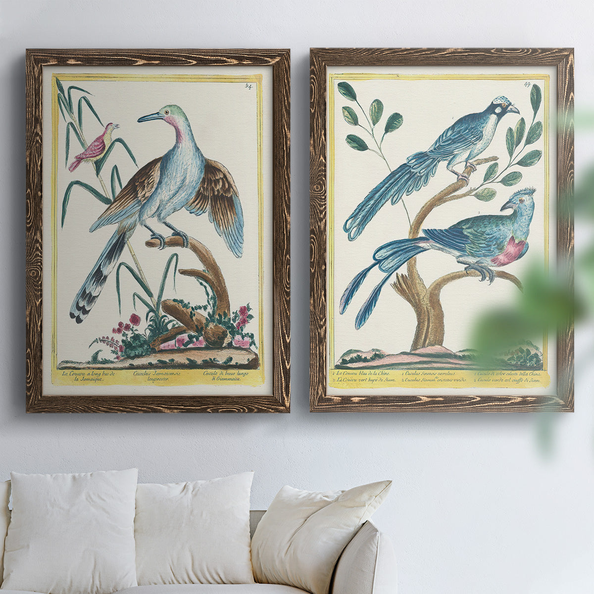 Pastel Birds V - Premium Framed Canvas 2 Piece Set - Ready to Hang