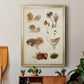 Mushroom Species III - Modern Framed Canvas Print