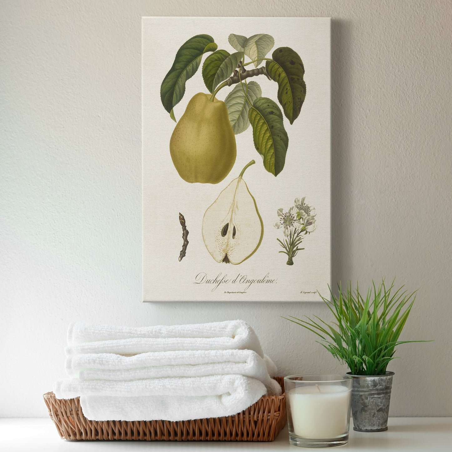 Vintage Pears I Premium Gallery Wrapped Canvas - Ready to Hang