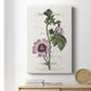 Flower Garden Varietals IV - Canvas Art Print