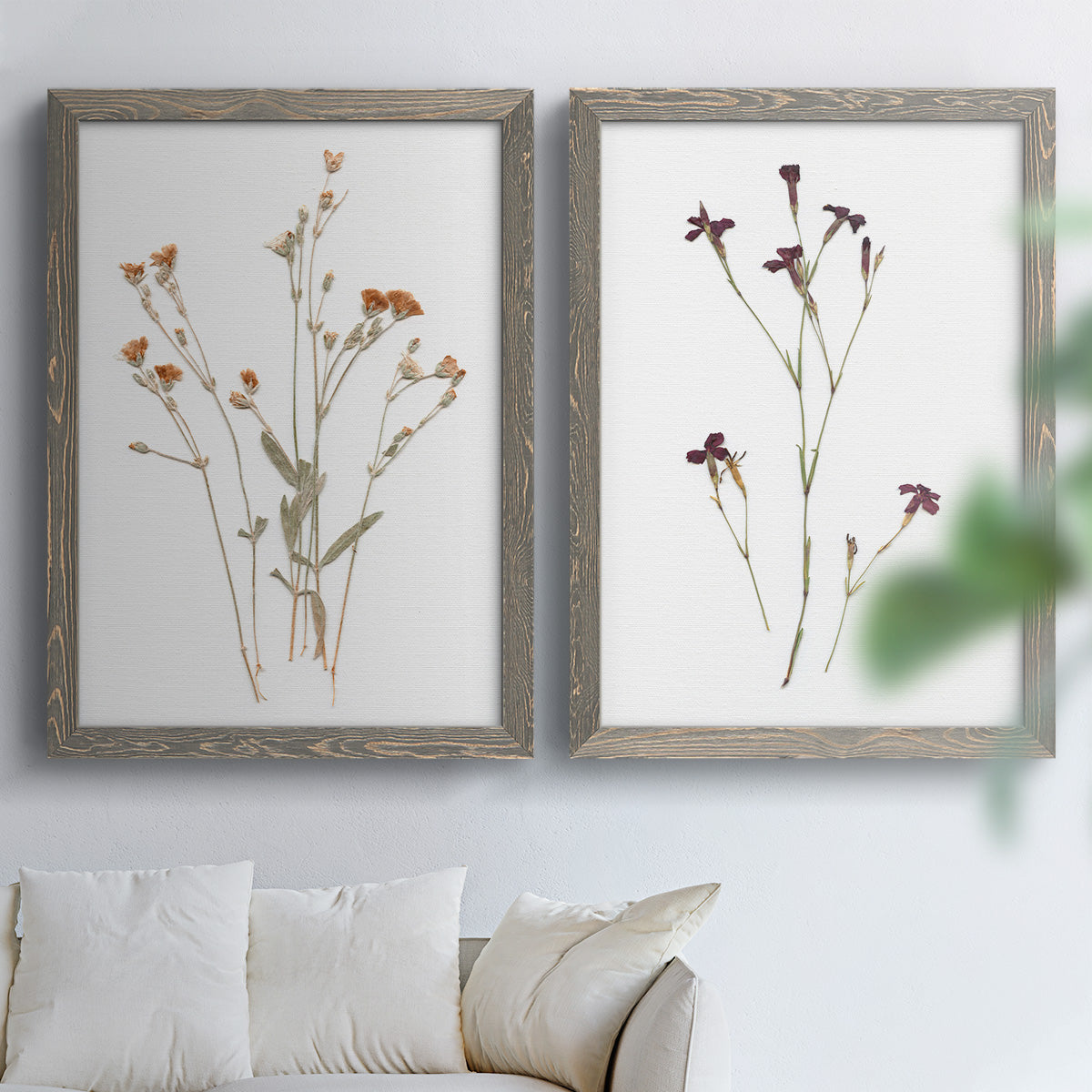 Pressed Botanical I - Premium Framed Canvas 2 Piece Set - Ready to Hang