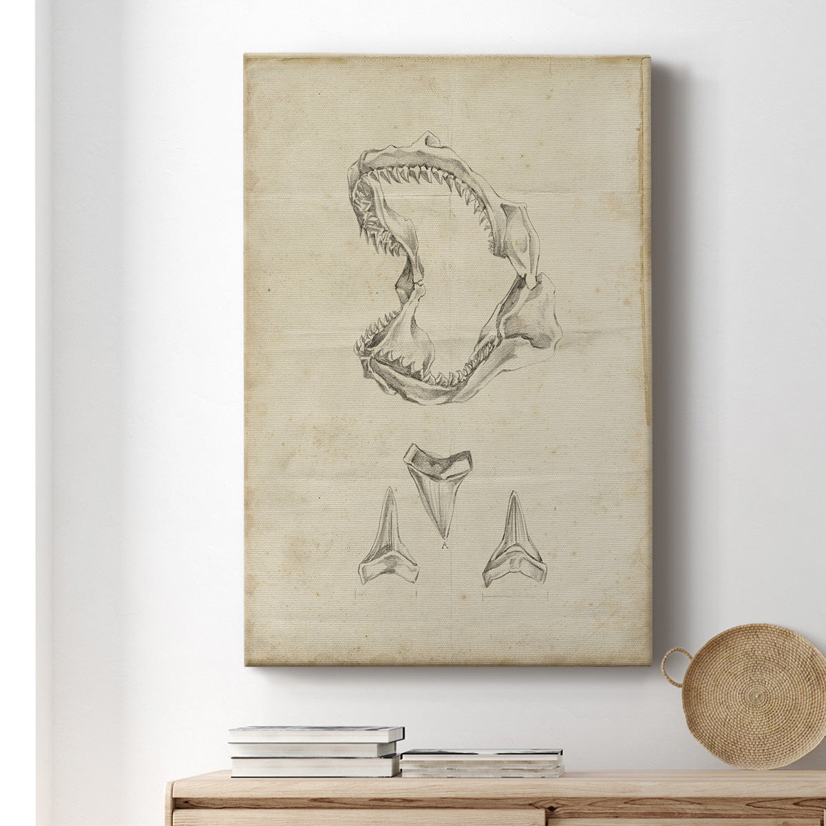 Shark Study II Premium Gallery Wrapped Canvas - Ready to Hang