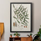 Botanical Society Ferns X - Modern Framed Canvas Print