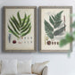 Set of two gray barnwood framed canvas prints depicting varied green fronds, roots, spores, and archival labels arranged across two complementary compositions above a sofa in a bright living space.