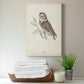 Little Owl Premium Gallery Wrapped Canvas - Ready to Hang