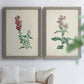 Set of two gray barnwood framed canvas prints depicting a traditional botanical print pair with delicate blossoms leafy stems and scientific plate details above a sofa in a bright living space.