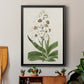 Flore Albo I - Modern Framed Canvas Print