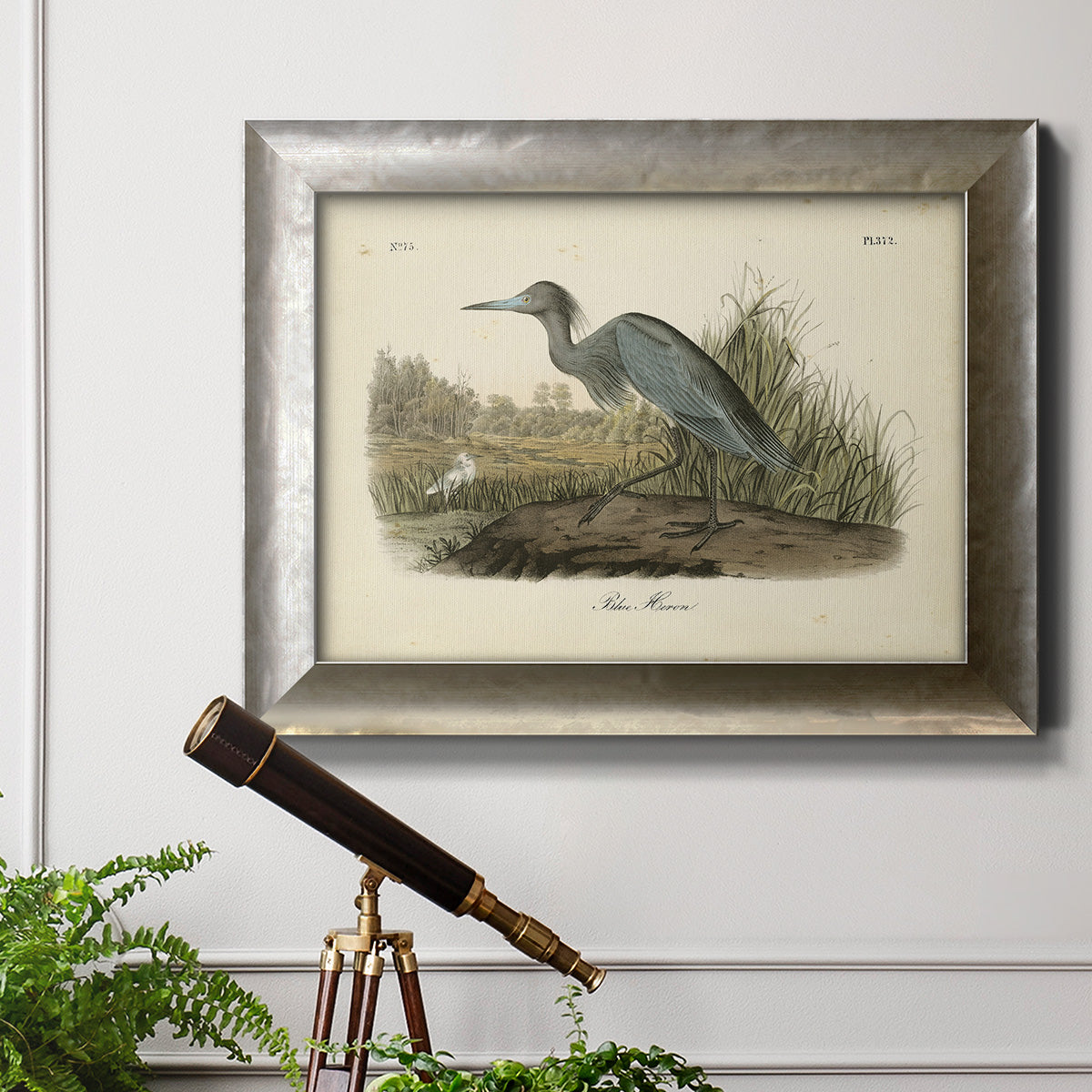 Audubons Blue Heron Premium Framed Canvas- Ready to Hang