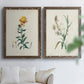 Traditional Botanical III - Premium Framed Canvas 2 Piece Set - Ready to Hang