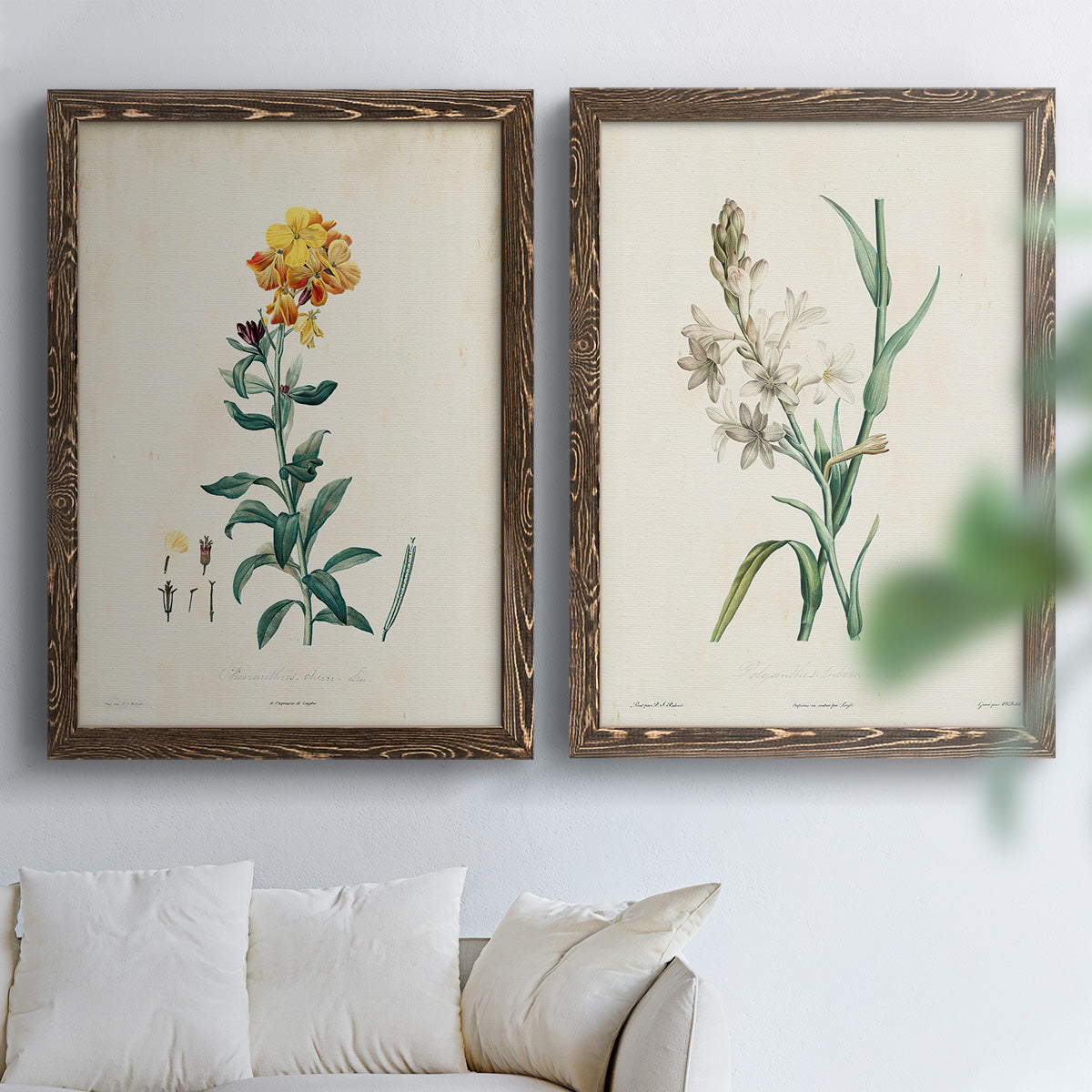 Traditional Botanical III - Premium Framed Canvas 2 Piece Set - Ready to Hang