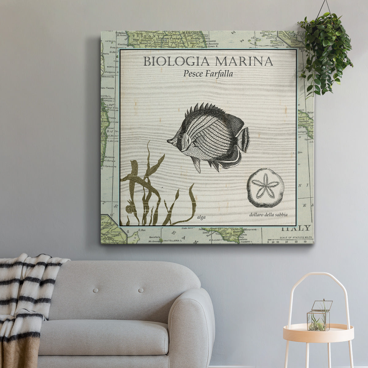 Biologia Marina I-Premium Gallery Wrapped Canvas - Ready to Hang