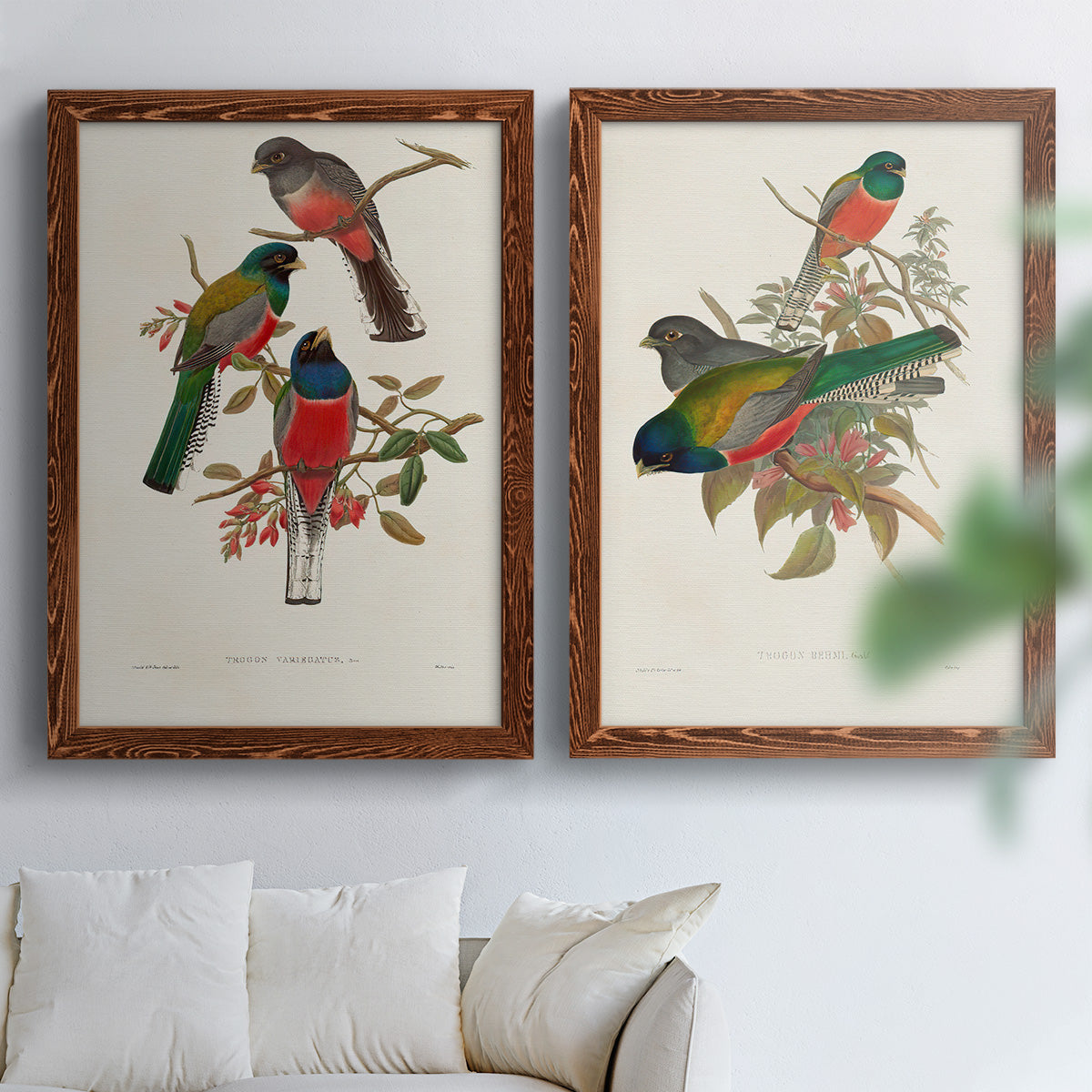 Elegant Trogons IX - Premium Framed Canvas 2 Piece Set - Ready to Hang