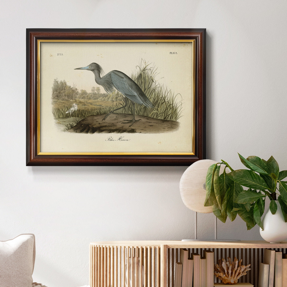 Audubons Blue Heron Premium Framed Canvas- Ready to Hang