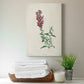 Traditional Botanical I Premium Gallery Wrapped Canvas - Ready to Hang