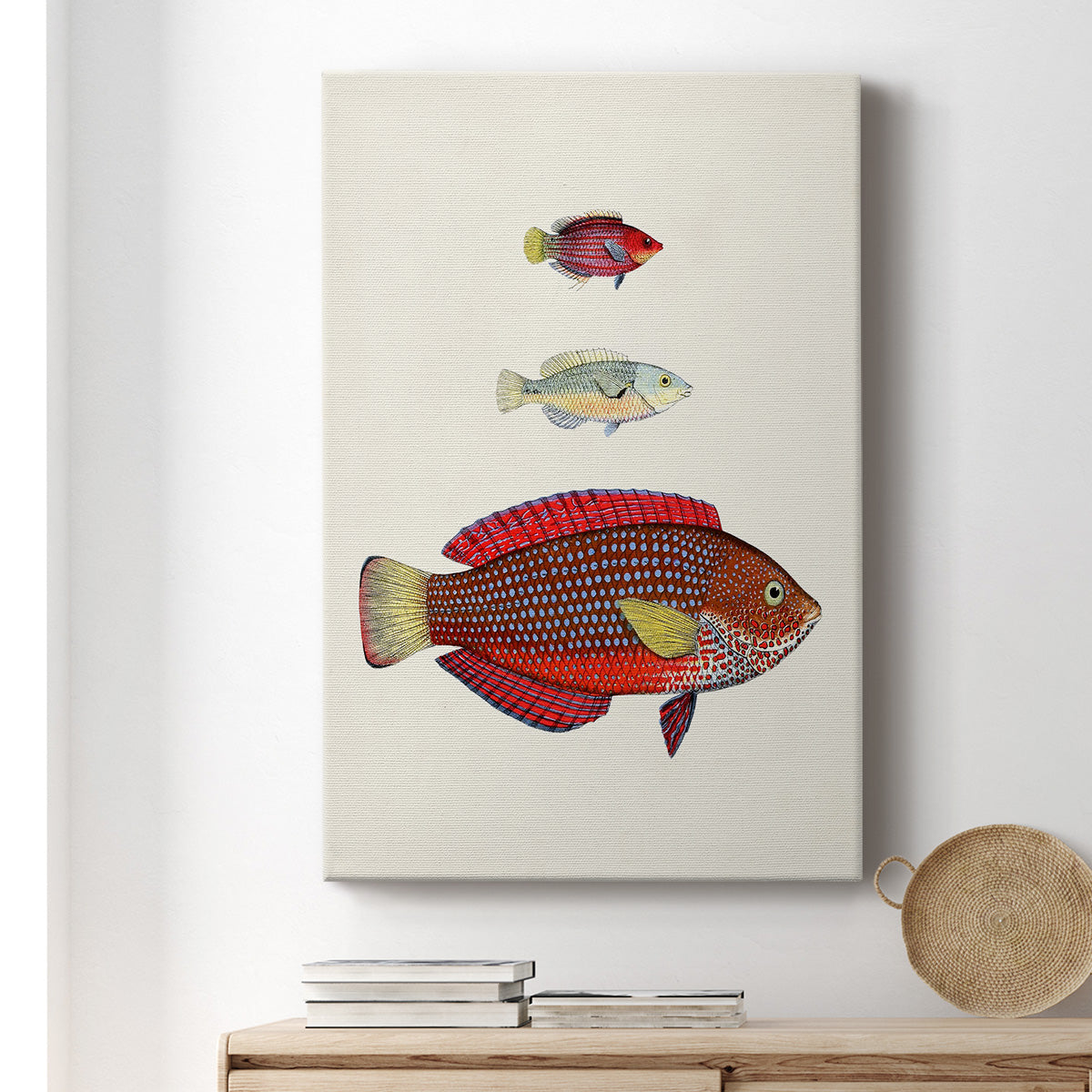 Colorful Tropical Fish II Premium Gallery Wrapped Canvas - Ready to Hang