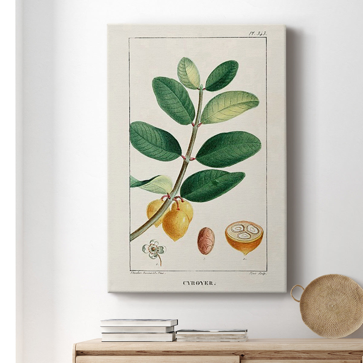 Turpin Tropical Botanicals V Premium Gallery Wrapped Canvas - Ready to Hang