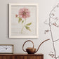 Soft Peony - Premium Canvas Framed in Barnwood - Ready to Hang