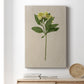 Pretty Pressed Flowers II Premium Gallery Wrapped Canvas - Ready to Hang